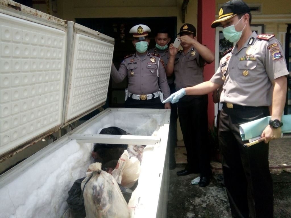 Cuma Ada di Sumbar, Polres Sijunjung Bongkar Perdagangan Daging Beruang dan Harimau