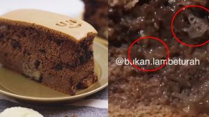 Viral Kue Pillow Cake Cokelat Ada Belatungnya, Lihat Videonya!