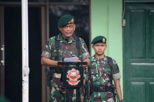 Pangkostrad Buka Apel Dansat Kostrad Terpusat Tahun 2018