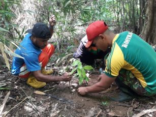 Peringati Hari Air Sedunia, Satgas Yonif Para Raider 501 Kostrad Adakan  Penanaman Pohon Bersama Masyarakat