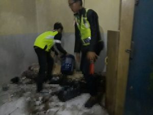 Geger, Sepasang Kekasih di Surabaya Nekat Bakar Diri