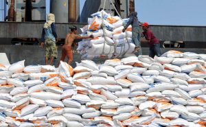 Harga Beras Tidak Turun, Kebijakan Import Beras Dipertanyakan