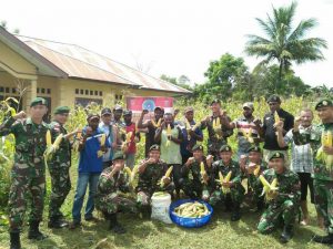 Masyarakat Kweel Merauke Panen Jagung Bersama Satgas Yonif Raider 323 Kostrad