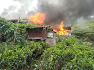 3 Rumah Milik Pekerja Kebun Teh di Solsel Ludes Jadi Abu