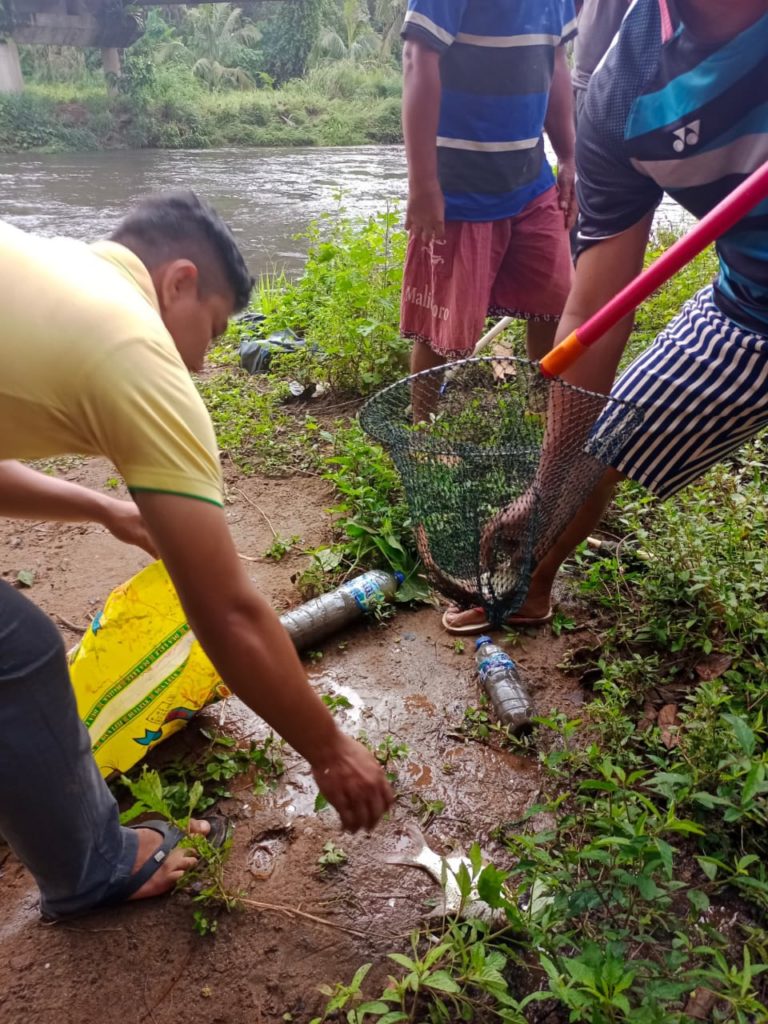 Air Bewarna Hitam, Ikan Mati, Sungai Jujuhan Diduga Tercemar Limbah