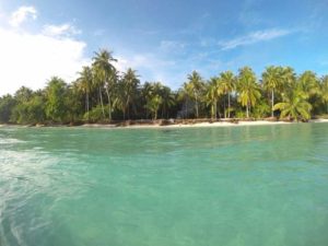 Majukan Pariwisata, Kawasan Hutan Mentawai Bakal Ditata Ulang