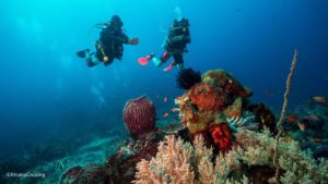 Keindahan Pulau dan Sensasi Menyelam di Lava Flow,Spot Diving Menakjubkan