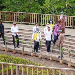 Presiden Jokowi Ajak Sejumlah Petinggi Negara Kunjungi Tahura Mangrove Bali di KTT G20