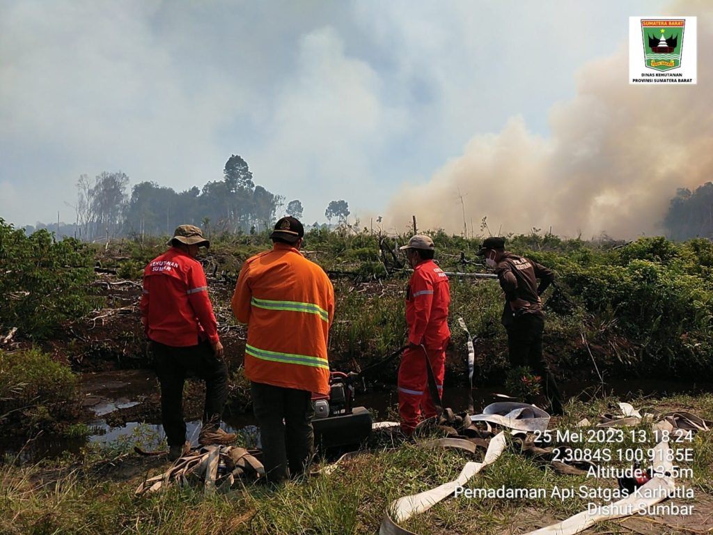Kebakaran Lahan Sawit Terus Meluas di Kecamatan Silaut Pessel, Petugas Kewalahan Padamkan Api