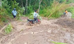 Akses Jalan Antar Dua Nagari di Mapattunggul Terputus Di Hantam Banjir dan Tanah Lonsor
