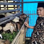 Anggota DPRD Sumbar Berikan Bantuan Ternak