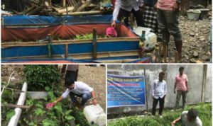 Mewujudkan Sektor Perikanan Dan Ketahanan Pangan, Wali Nagari Berikan Bantuan Bibit Indukan Belut Dan Ikan Nila Ke 4 Pokdakan