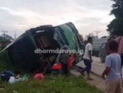 Bus ALS Terbalik di Jalinsum Dharmasraya