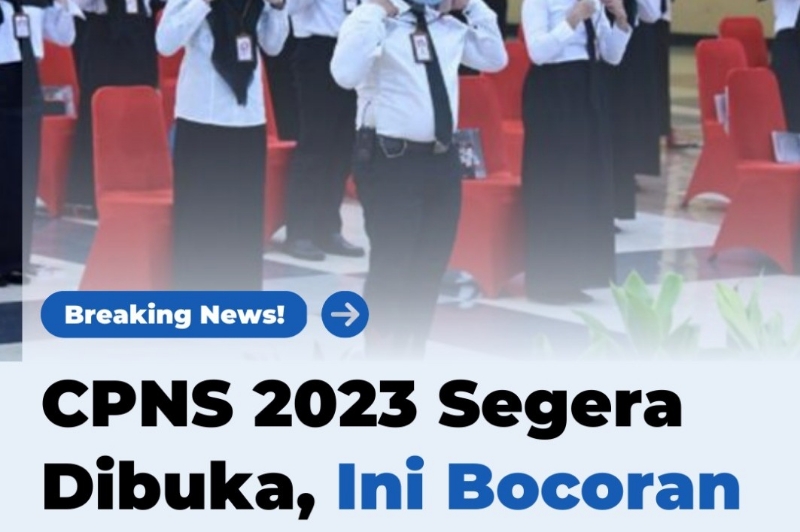 cpns 2024