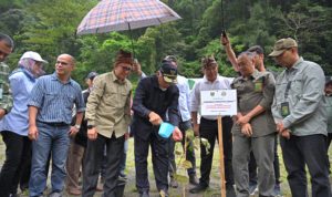 Pemprov Sumbar Gelar Program Penanaman Pohon Serentak untuk Dukung Kelestarian Hutan dan Kebijakan Nasional