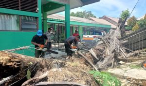 Pohon Sawit Setinggi 20 Meter Tumbang Timpa Pagar SMPN 21 Padang, Kerugian 1 Juta