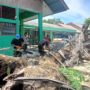 Pohon Sawit Setinggi 20 Meter Tumbang Timpa Pagar SMPN 21 Padang, Kerugian 1 Juta