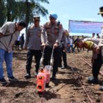 Gandeng PT Mutiara, Polres Agam Tanam Jagung untuk Ketahanan Pangan