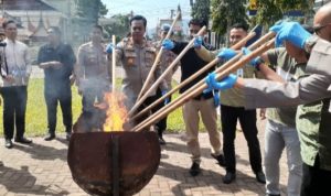 Polres Pasaman Musnahkan Barang Bukti Narkotika Jenis Sabu Dan Ganja