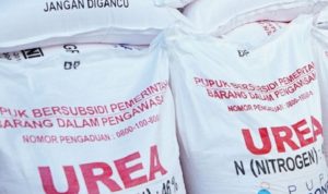 Kebutuhan Pupuk di Padang Panjang Capai 693 Ton