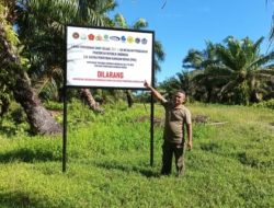 Lahan Sawit Disita, Tapi Tetap Digarap: BEM Sumbar Kritik PT SJAL