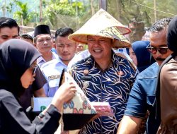 “Dorong Kedaulatan Pangan dan Sejahterakan Petani Pasaman, Bupati Welly Suhery: Luncurkan Program Layanan Bajak Gratis Bajak Gratis”