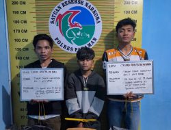 Satresnarkoba Polres Pasaman Ciduk Dua Pengedar Ganja di Kecamatan Rao