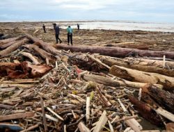 Bencana Ekologis Sumatera Barat: Jejak Penebangan Liar di Balik Banjir Bandang Maut